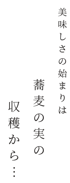 蕎麦の実の収穫から...